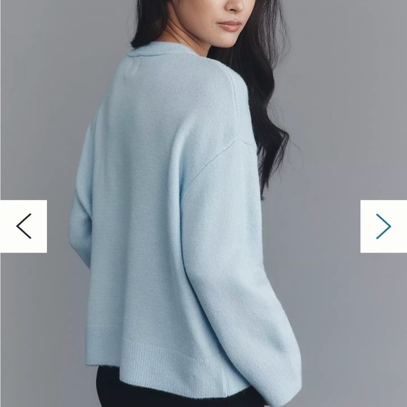 Anthropologie Maeve Crew-Neck Dog Icon Pullover Sweater Medium Light Blue Poodle - Picture 3 of 8